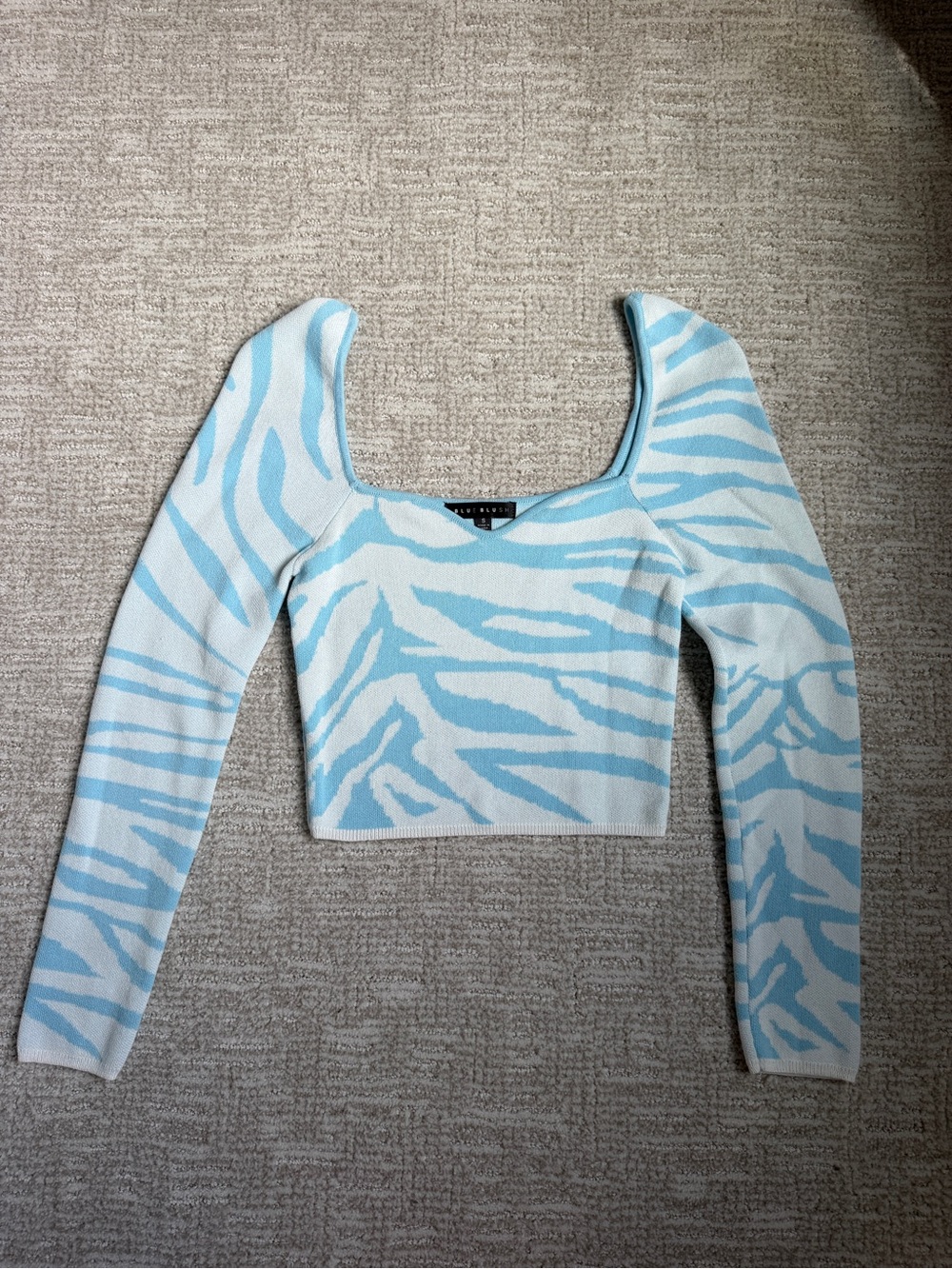 Blue Blush Light Blue & White Zebra Long Sleeve Top